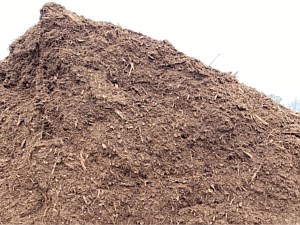 Double Hammered Hardwood